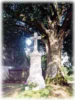 Feldkreuz von 1886